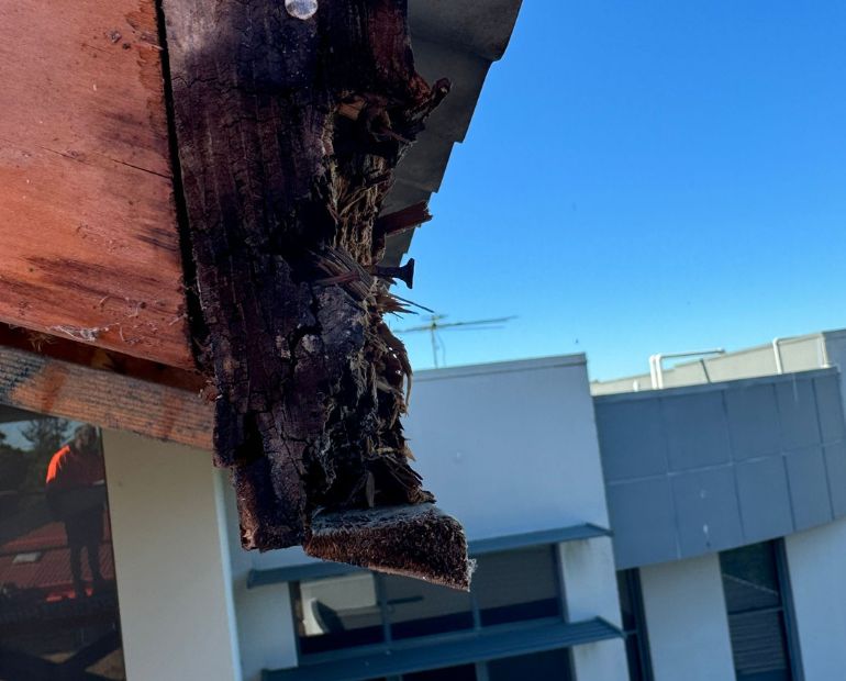 Rotted and termite-damaged roof beam end exposed at the fascia of a Brisbane home