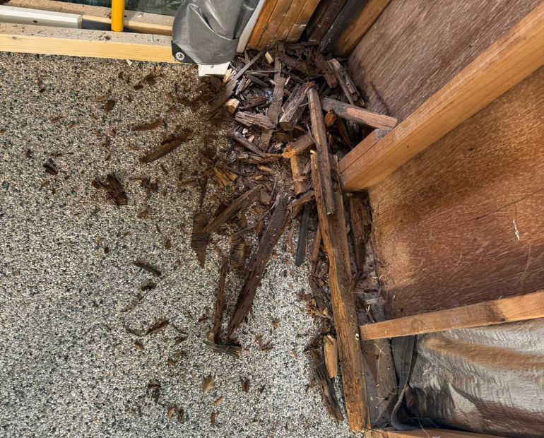 Removed rotten timber cleared from a subfloor during repairs